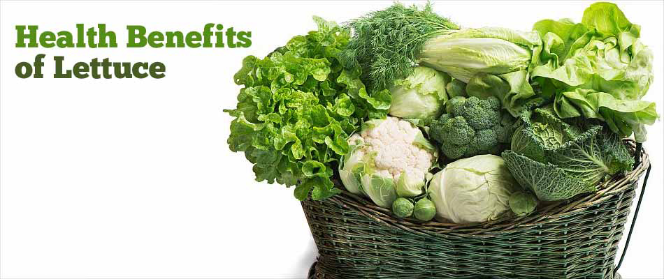 health benefits of lettuce