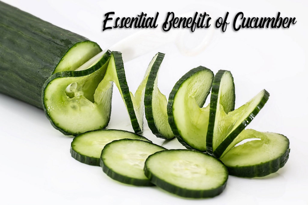 Essential benefits of cucumber